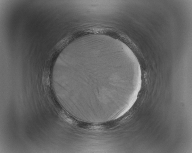 X0000082170313200702162307