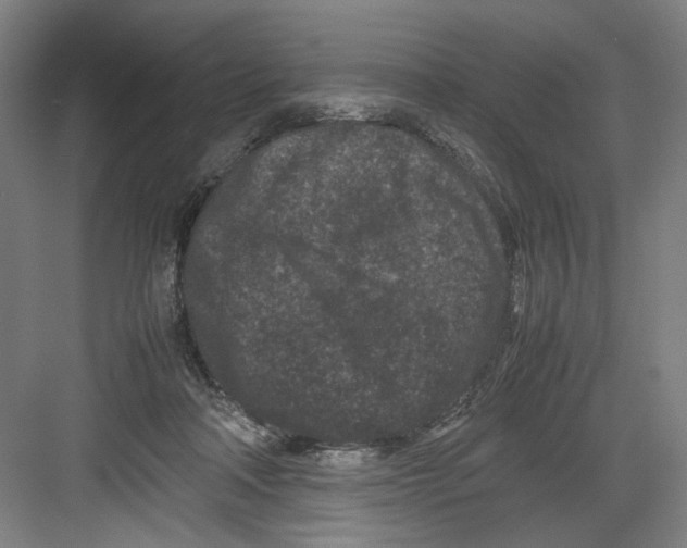 X0000082170314200702162307