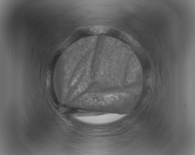 X0000082170315200702162307