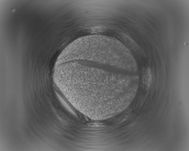 X0000082170316200702162307