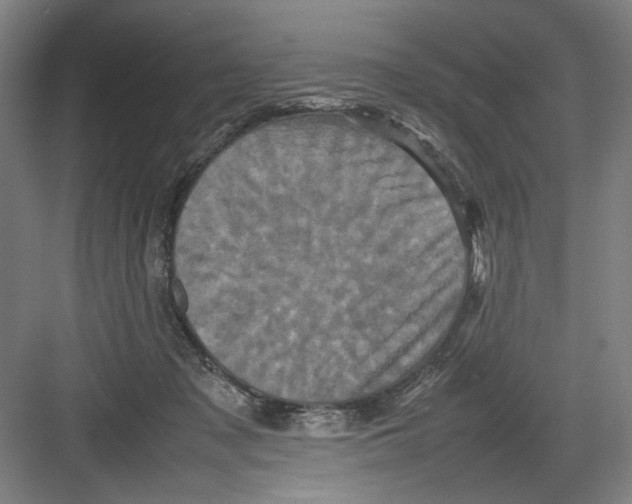 X0000082170317200702162307