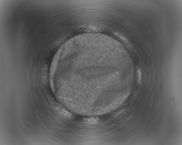 X0000082170318200702162307