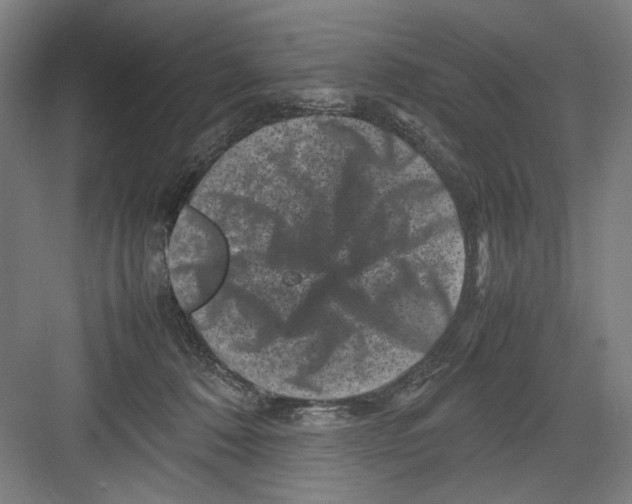 X0000082170320200702162307