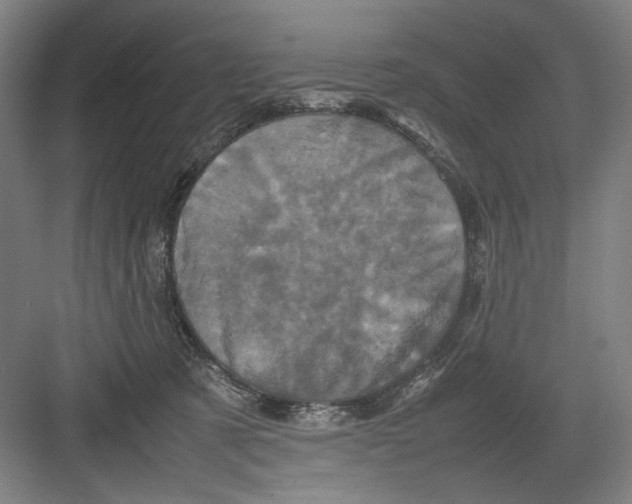 X0000082170321200702162307