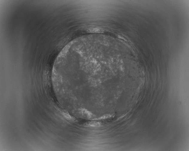 X0000082170322200702162307