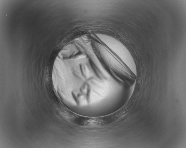 X0000082170323200702162307