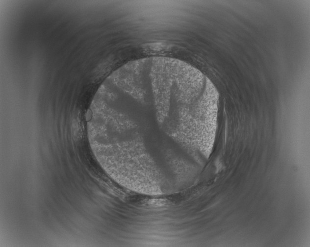 X0000082170324200702162307