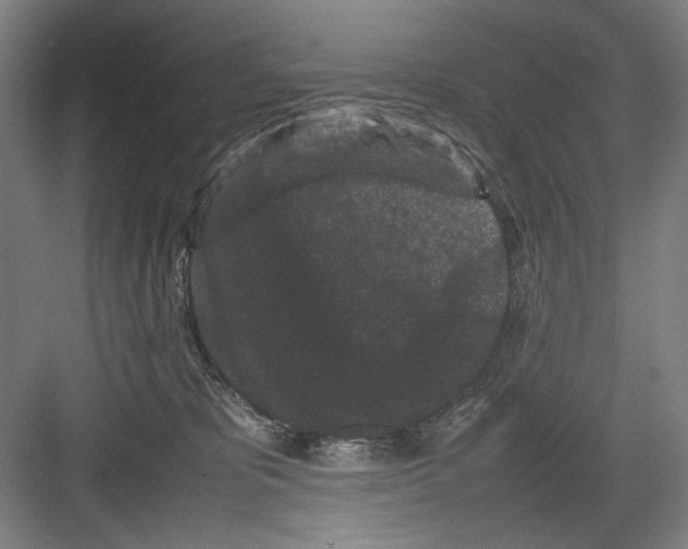 X0000082170325200702162307