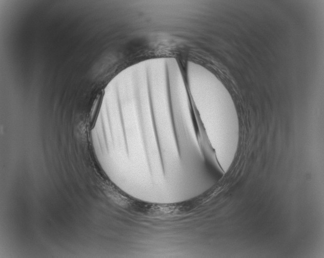 X0000082170329200702162307