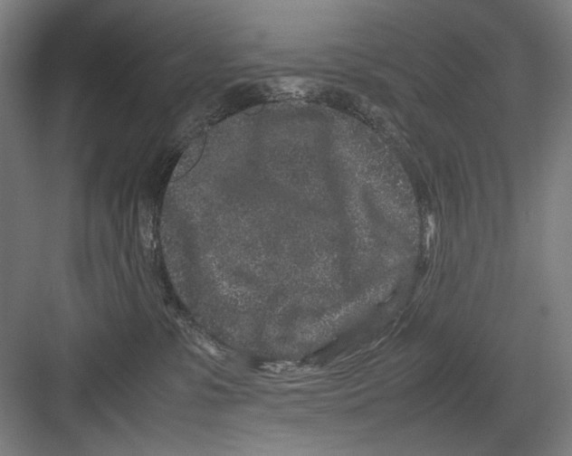 X0000082170331200702162307