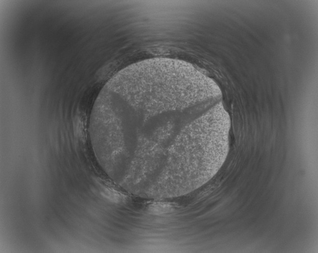 X0000082170332200702162307