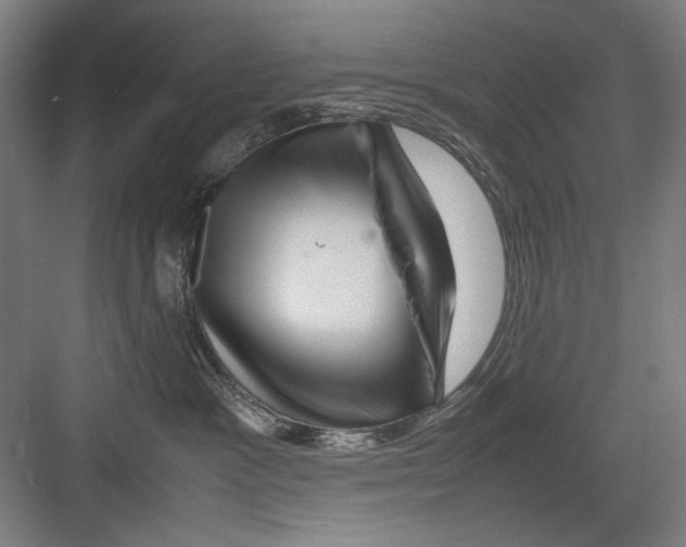 X0000082170333200702162307