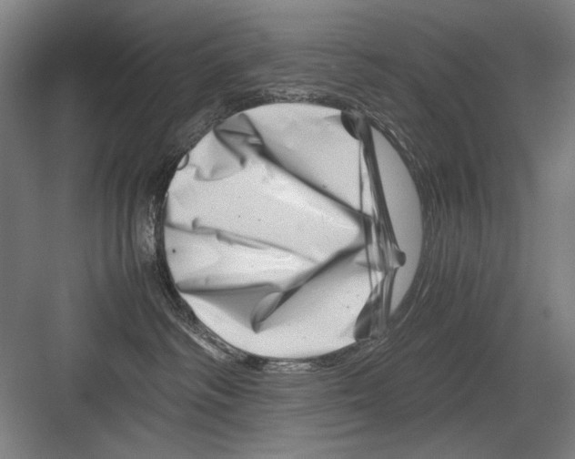 X0000082170334200702162307