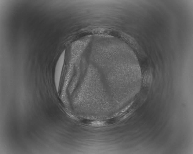 X0000082170335200702162307