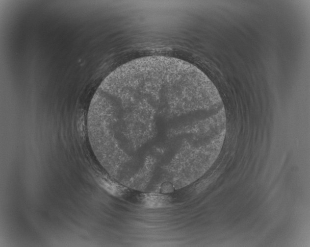 X0000082170336200702162307