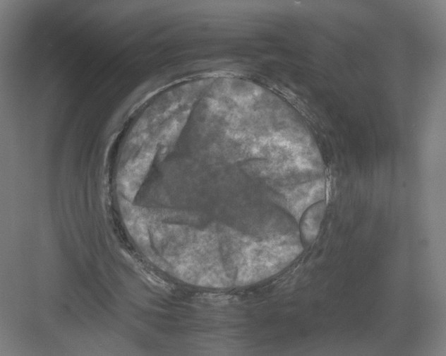 X0000082170339200702162306