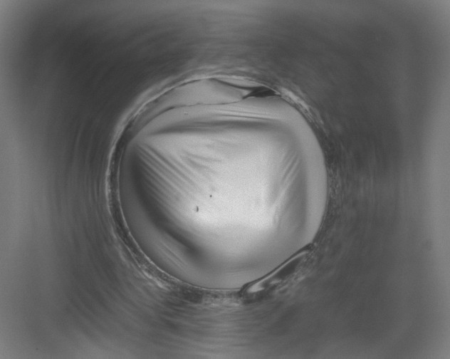 X0000082170340200702162306