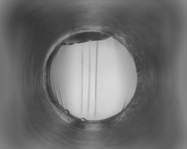 X0000082170342200702162306