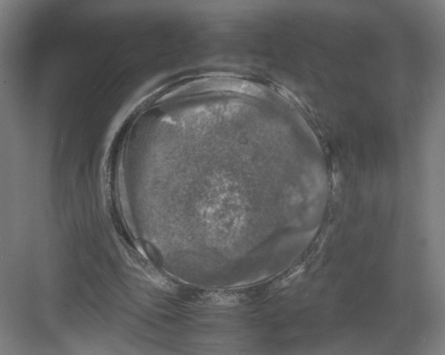 X0000082170343200702162306