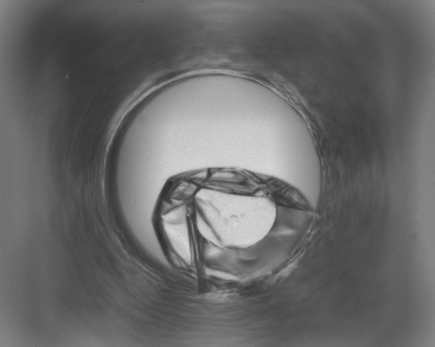 X0000082170344200702162306