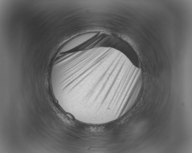 X0000082170345200702162306