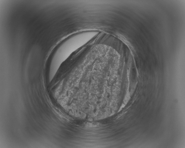 X0000082170346200702162306