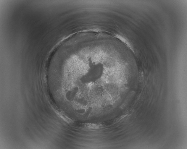 X0000082170347200702162306