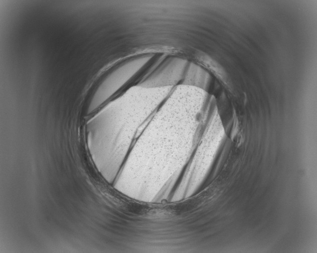 X0000082170348200702162306