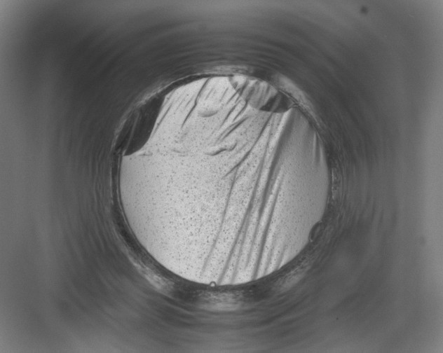 X0000082170349200702162306