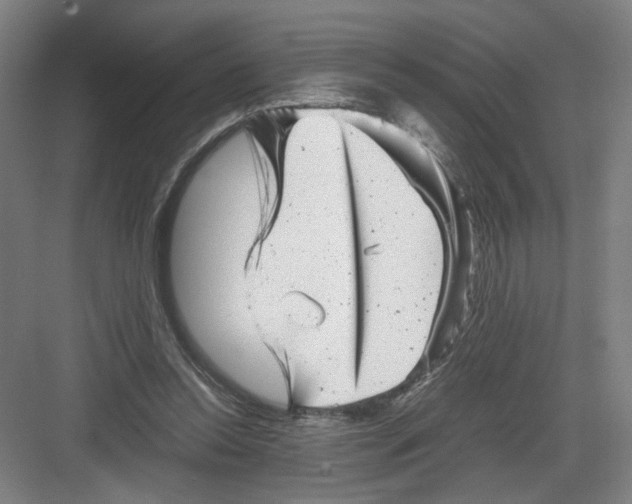 X0000082170350200702162307