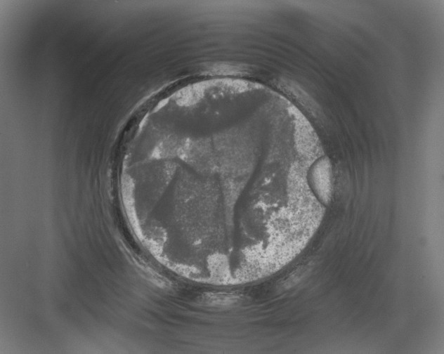 X0000082170351200702162307