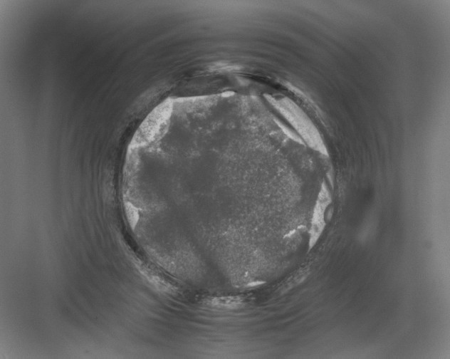 X0000082170353200702162307