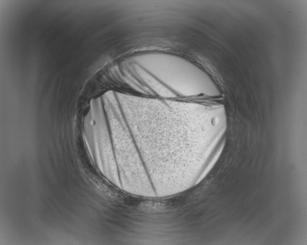 X0000082170354200702162307