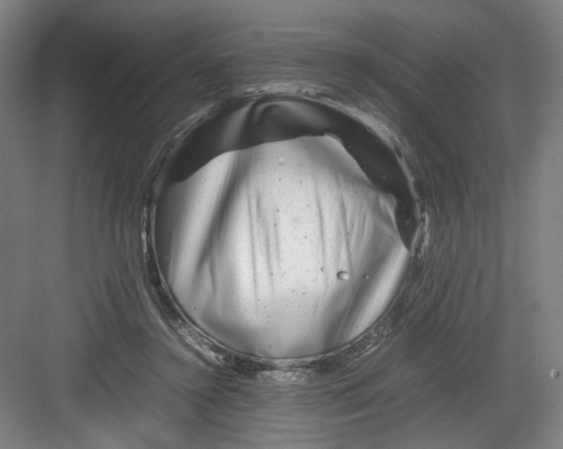 X0000082170356200702162307