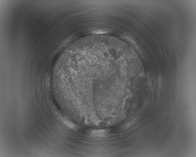 X0000082170357200702162307