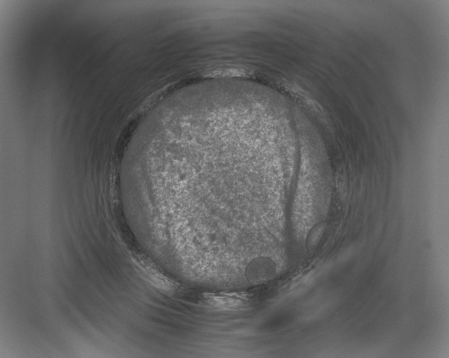 X0000082170359200702162307