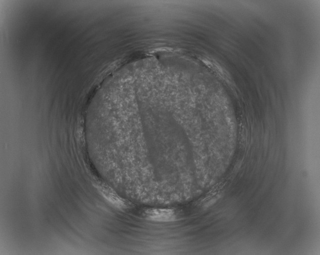 X0000082170361200702162307