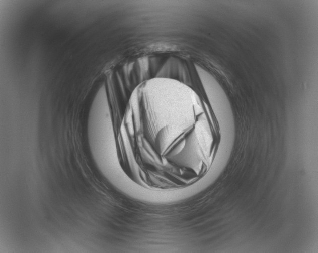 X0000082170362200702162307