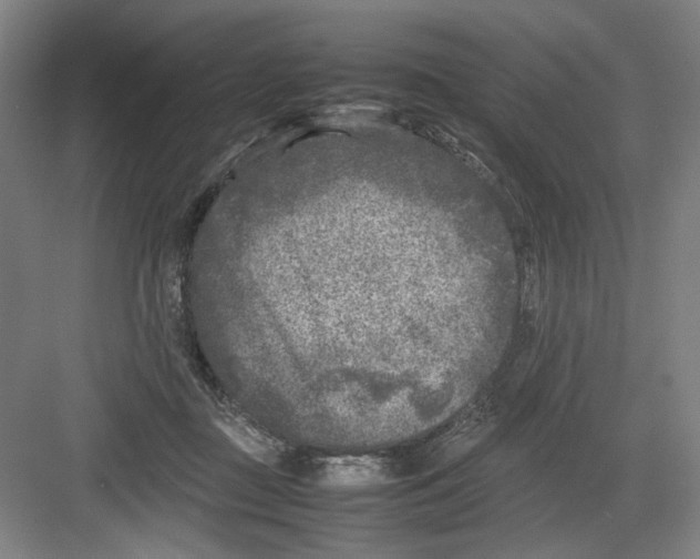 X0000082170363200702162307