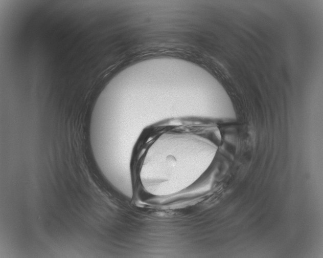 X0000082170364200702162307