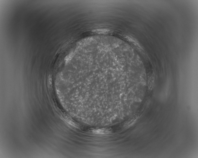 X0000082170365200702162307