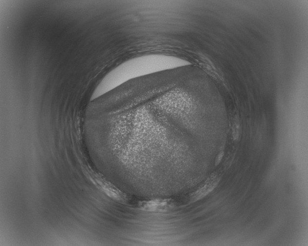 X0000082170366200702162307