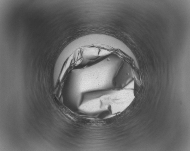 X0000082170368200702162307