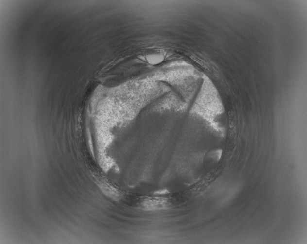 X0000082170369200702162307