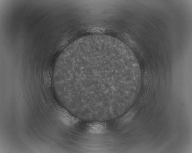 X0000082170370200702162307