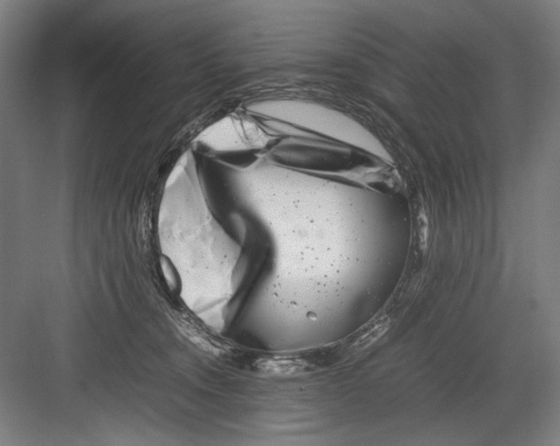 X0000082170372200702162307