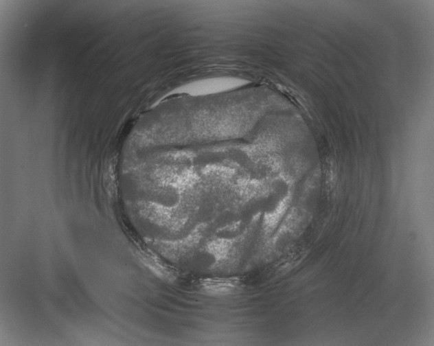 X0000082170373200702162307