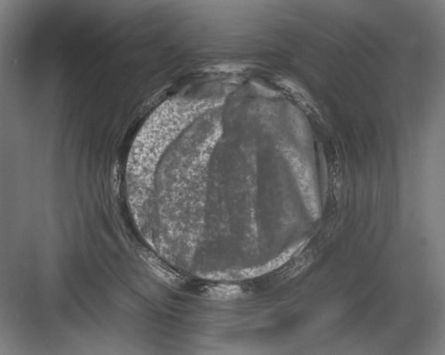 X0000082170374200702162307