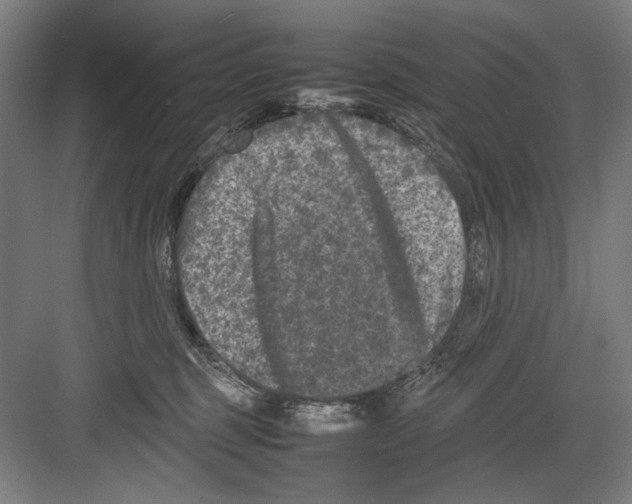 X0000082170375200702162307