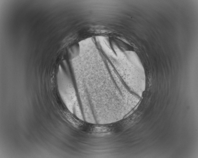 X0000082170376200702162307